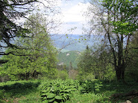 foto2008-05-17T14:56:32-000250.JPG
