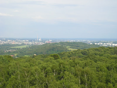p7110035.jpg