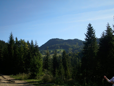 IMG_0011.JPG
