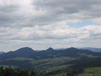 IMG_3801.JPG
