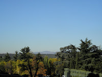 PB040107.JPG