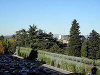 PB040111.JPG