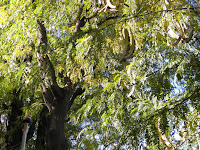 PB040211.JPG