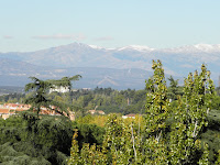 PB040226.JPG
