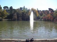 PB050467.JPG