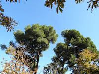 PB050511.JPG