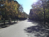 PB050512.JPG