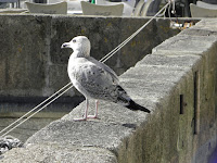 PB070003.JPG