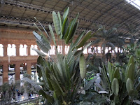 DSCN1941.JPG