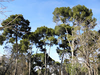 P2231314.JPG