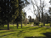 P2231362.JPG