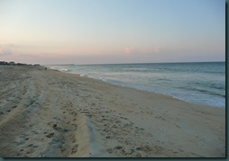 beach (1) beach (1)