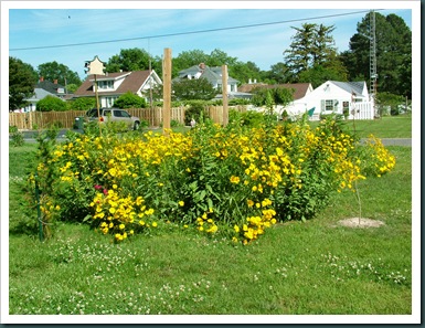wildflower garden ALL (1) wildflower garden ALL (1)