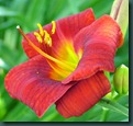 DSCF6372 DSCF6372
