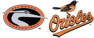 shorebirds logo shorebirds logo