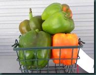 DSCN1138 DSCN1138