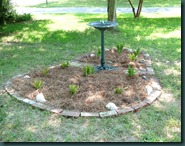 garden3 0901 (2) garden3 0901 (2)