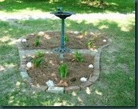 garden3 0901 (1) garden3 0901 (1)
