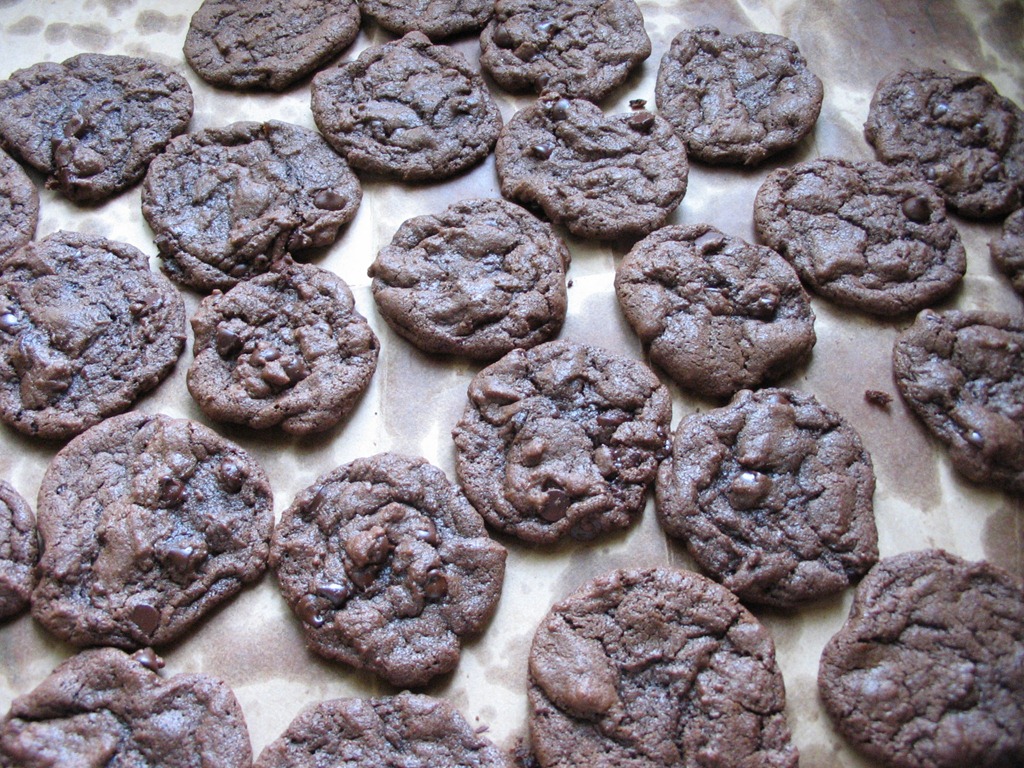 [cocoa choc chips cooling (1)[7].jpg]