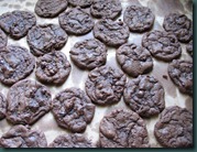 cocoa choc chips cooling (1)