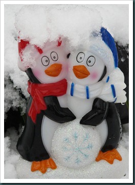 penguins snow (4) penguins snow (4)