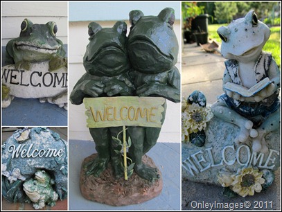 frog welcome0511