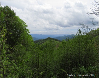 GSMNP view1