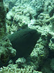 P1030600.JPG