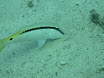 P1030723.JPG