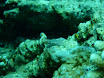 P1030666.JPG
