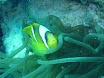 P1030766.JPG
