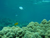 P1030813.JPG