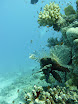 P1030879.JPG