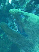 P1030919.JPG