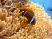 P1030999.JPG