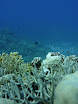 P1040155.JPG