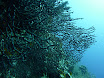 P1040178.JPG