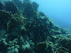 P1040197.JPG