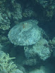 P1040224.JPG