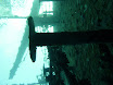 P1040325.JPG