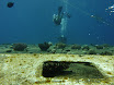 P1040366.JPG