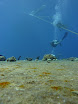 P1040367.JPG