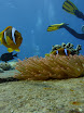 P1040380.JPG
