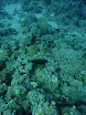 P1040424.JPG