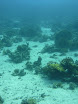 P1040444.JPG