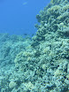 P1040475.JPG
