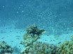 P1040489.JPG