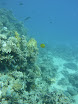P1040490.JPG