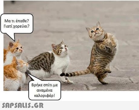 Μα τι έπαθε? Γιατί χορεύει? Βρήκε σπίτι με αναμενα καλορι έρ! 