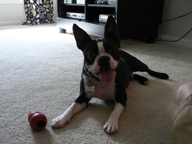 Enoch with toy